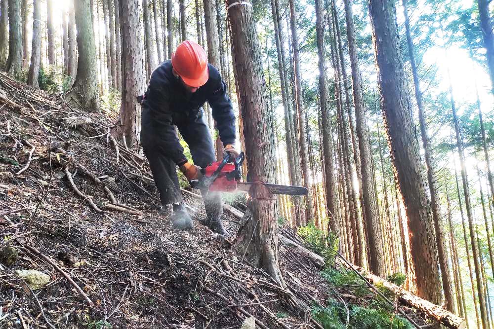 自然と向き合い、山を育てて守る 石原工業株式会社