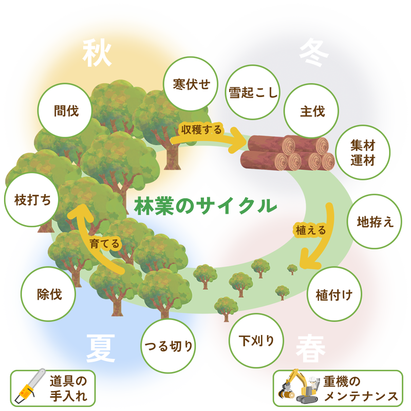 林業のサイクル