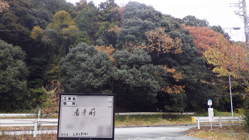 樹木伐採・整備（公共工事）