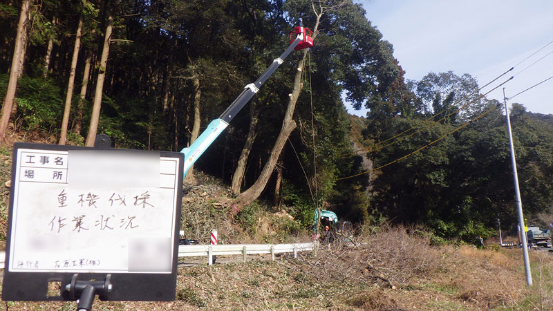 樹木伐採・整備（公共工事）