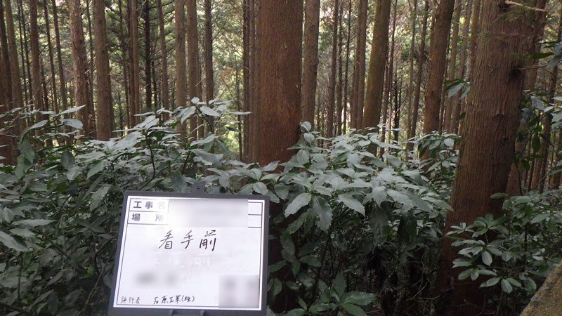 森林整備着手前